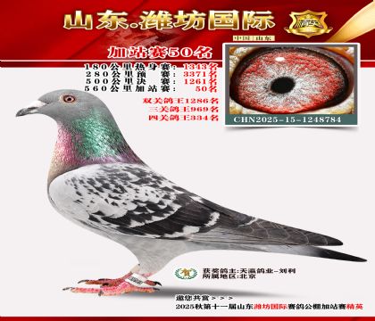 Ϋ�����ʼ�վ��50��