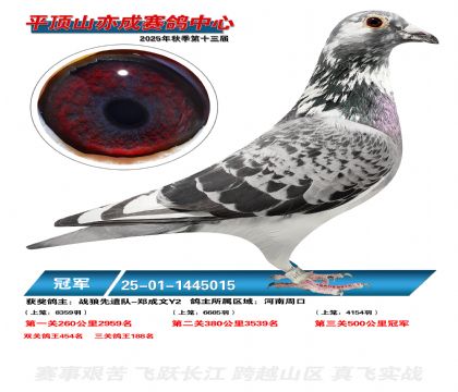 ƽ��ɽ��ɾ����ھ�