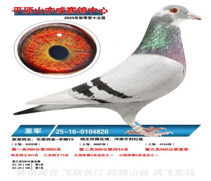 ƽ��ɽ��ɾ����Ǿ�