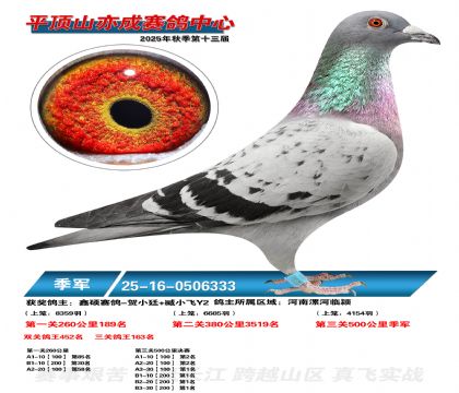 ƽ��ɽ��ɾ�������