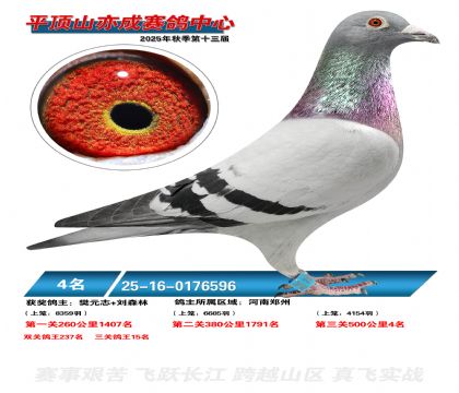 ƽ��ɽ��ɾ���4��