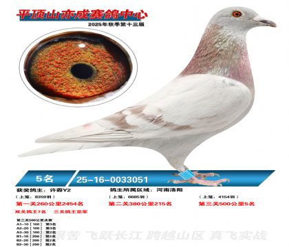 ƽ��ɽ��ɾ���5��