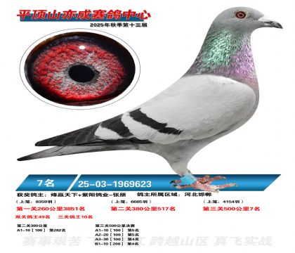 ƽ��ɽ��ɾ���7��