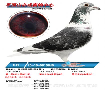 ƽ��ɽ��ɾ���8��