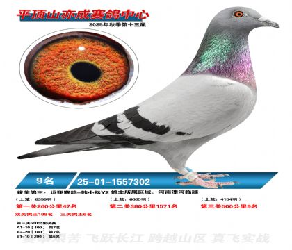 ƽ��ɽ��ɾ���9��