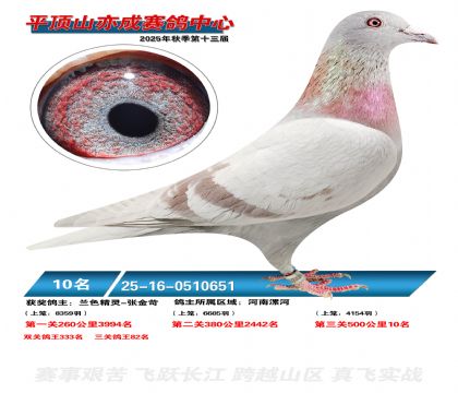 ƽ��ɽ��ɾ���10��