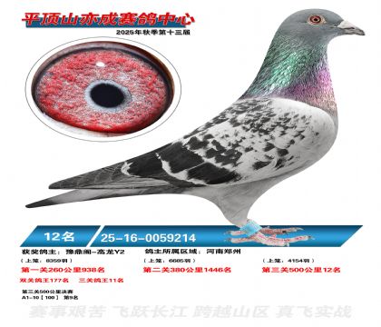 ƽ��ɽ��ɾ���12��