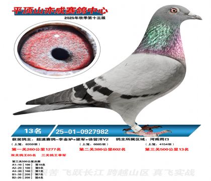 ƽ��ɽ��ɾ���13��