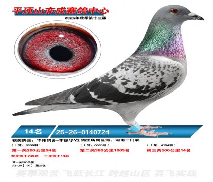 ƽ��ɽ��ɾ���14��