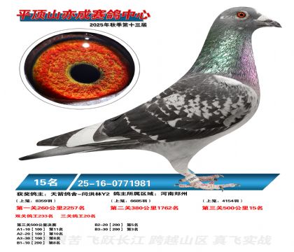 ƽ��ɽ��ɾ���15��