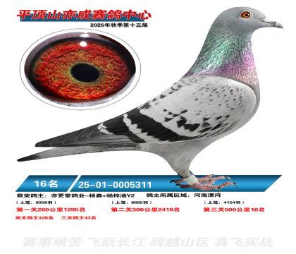 ƽ��ɽ��ɾ���16��