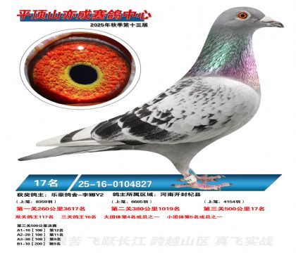 ƽ��ɽ��ɾ���17��