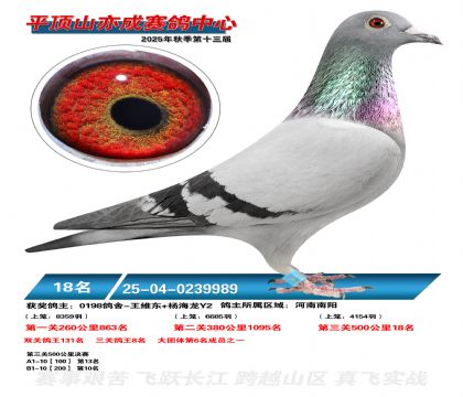 ƽ��ɽ��ɾ���18��