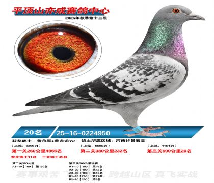 ƽ��ɽ��ɾ���20��