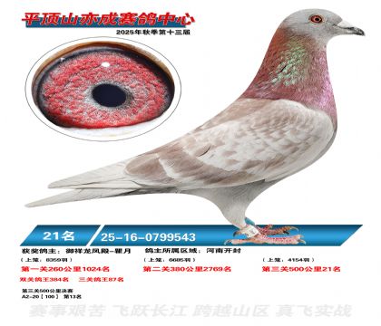 ƽ��ɽ��ɾ���21��