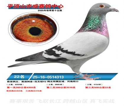 ƽ��ɽ��ɾ���22��