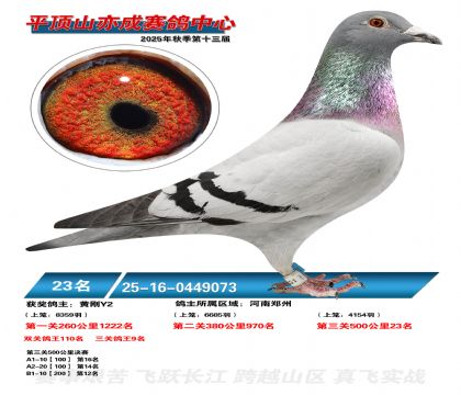 ƽ��ɽ��ɾ���23��