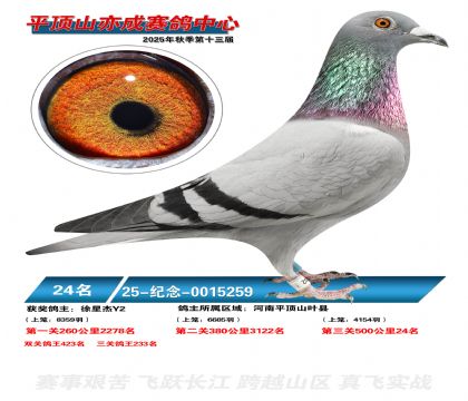 ƽ��ɽ��ɾ���24��