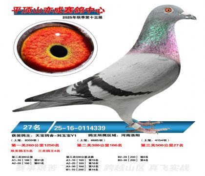 ƽ��ɽ��ɾ���27��