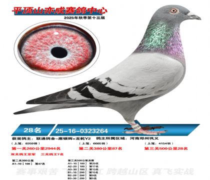 ƽ��ɽ��ɾ���28��