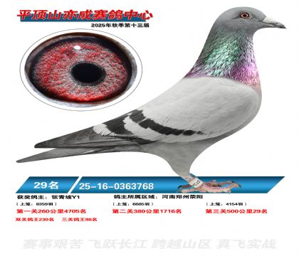 ƽ��ɽ��ɾ���29��