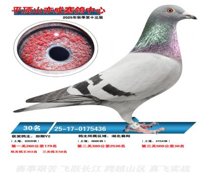 ƽ��ɽ��ɾ���30��