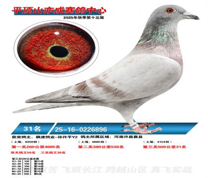 ƽ��ɽ��ɾ���31��