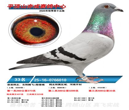 ƽ��ɽ��ɾ���33��