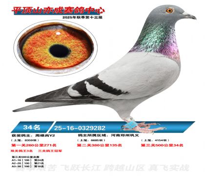 ƽ��ɽ��ɾ���34��