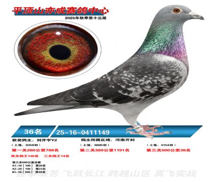 ƽ��ɽ��ɾ���36��