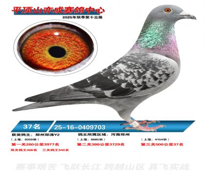 ƽ��ɽ��ɾ���37��