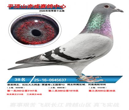 ƽ��ɽ��ɾ���38��