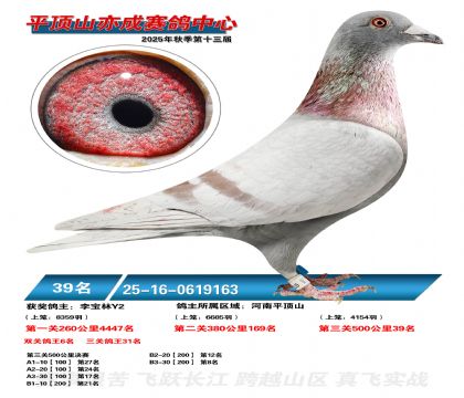 ƽ��ɽ��ɾ���39��