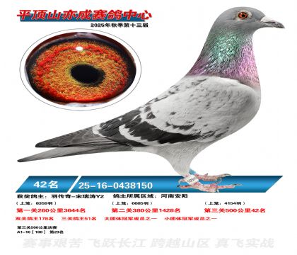 ƽ��ɽ��ɾ���42��