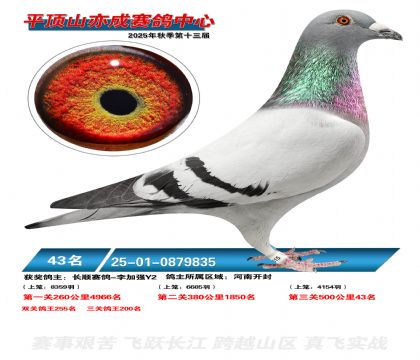 ƽ��ɽ��ɾ���43��