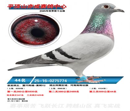 ƽ��ɽ��ɾ���44��