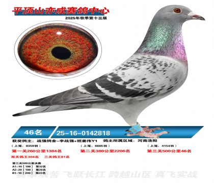 ƽ��ɽ��ɾ���46��