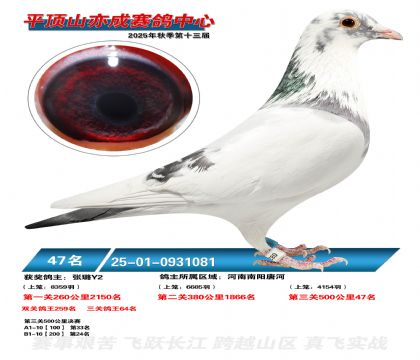 ƽ��ɽ��ɾ���47��