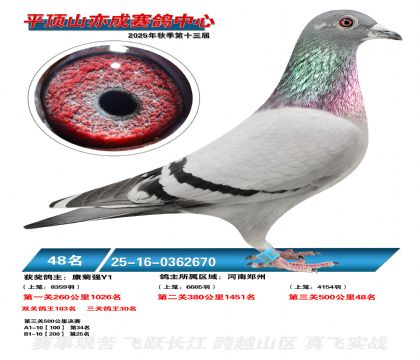 ƽ��ɽ��ɾ���48��