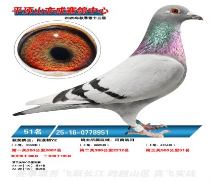 ƽ��ɽ��ɾ���51��