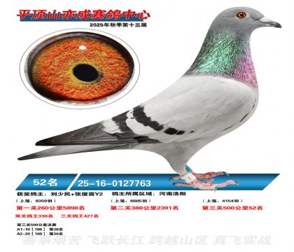 ƽ��ɽ��ɾ���52��