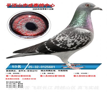 ƽ��ɽ��ɾ���53��