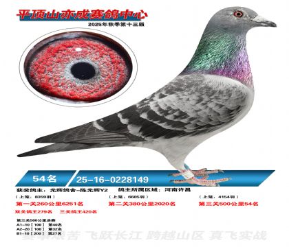 ƽ��ɽ��ɾ���54��