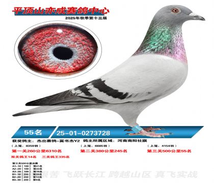 ƽ��ɽ��ɾ���55��