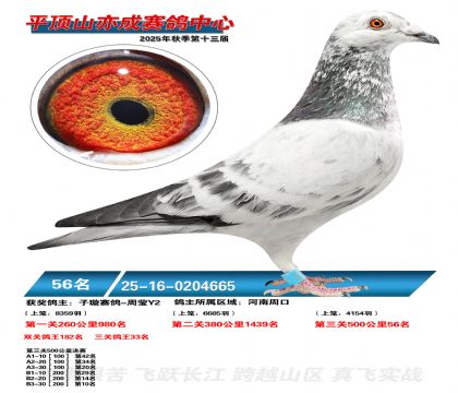 ƽ��ɽ��ɾ���56��