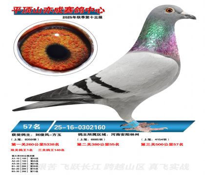 ƽ��ɽ��ɾ���57��