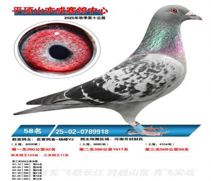 ƽ��ɽ��ɾ���58��