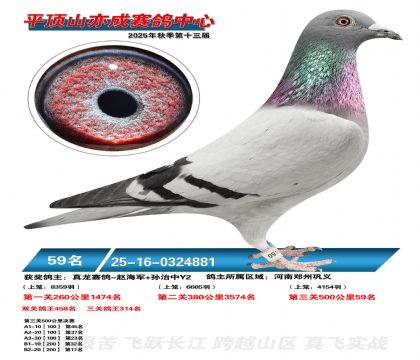 ƽ��ɽ��ɾ���59��