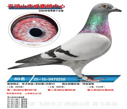 ƽ��ɽ��ɾ���60��