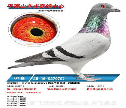 ƽ��ɽ��ɾ���61��